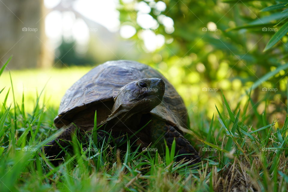 sloooow looook in the eyes