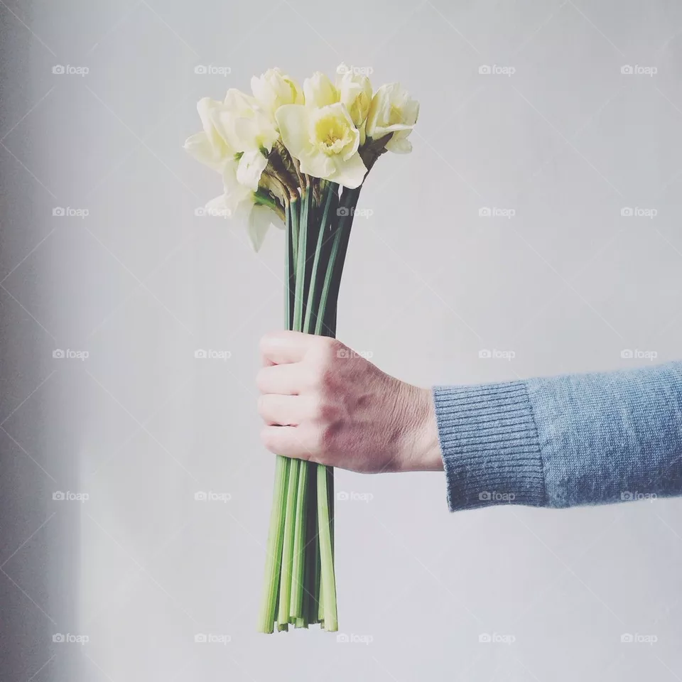 Daffodils