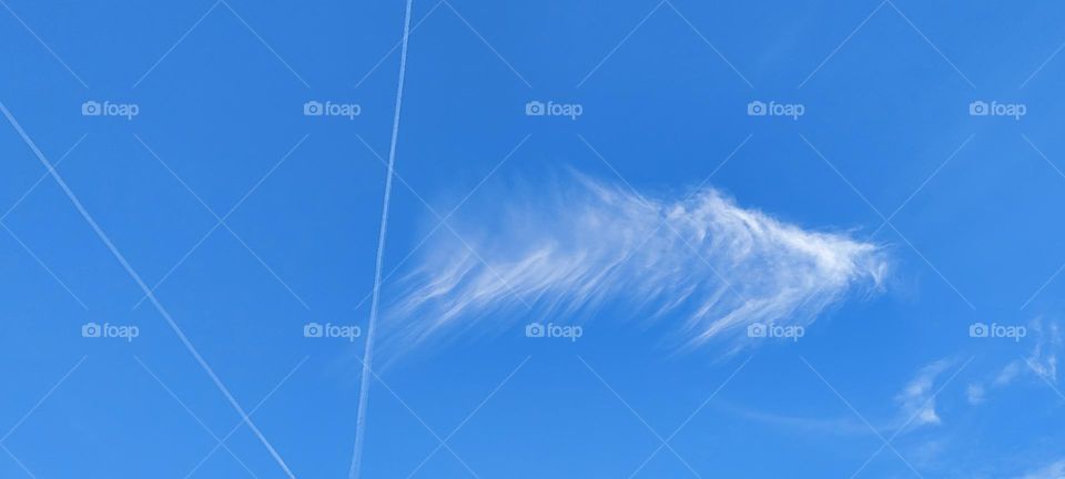 A feather in the Sky