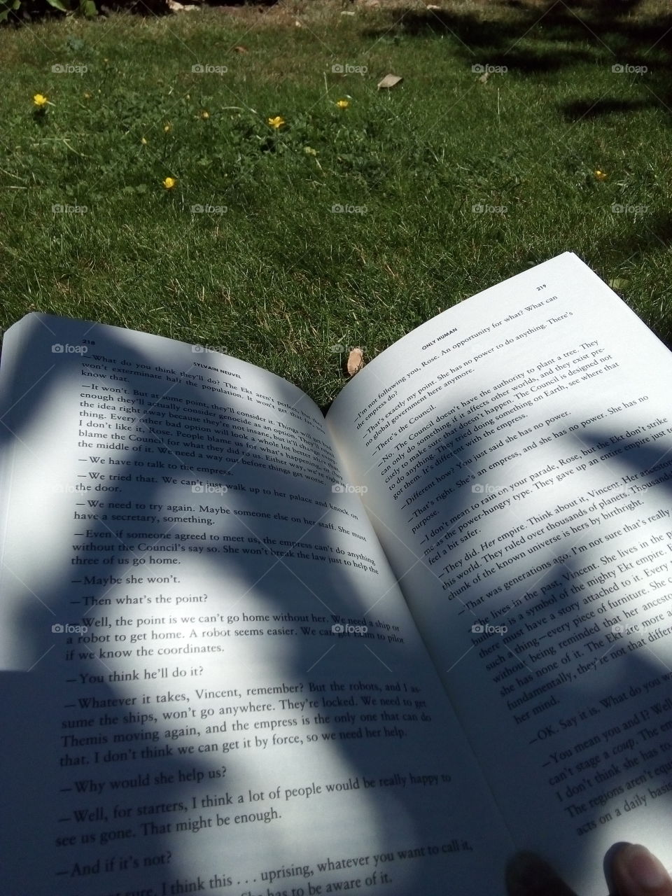 reading, shadows, outside