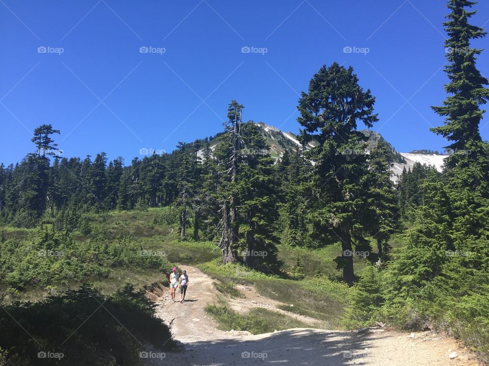 No Person, Outdoors, Travel, Tree, Landscape