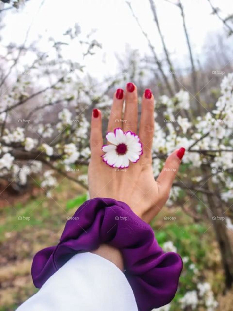 I m using spring s nature accessories