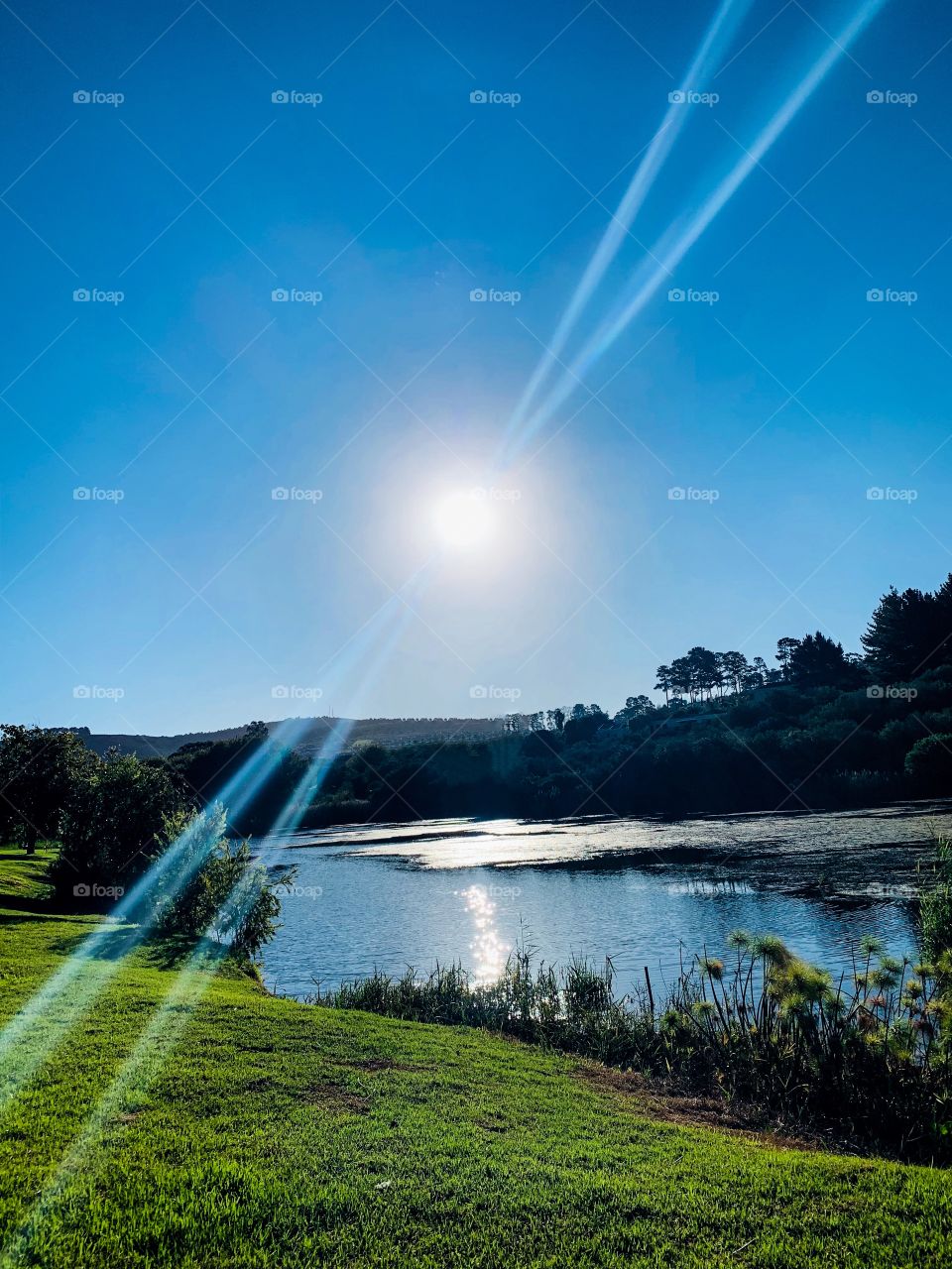 Sun rays over the river 