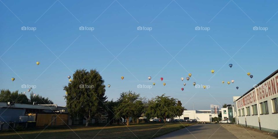 Der Start von vielen Heißluftballons am einem frühem morgen.