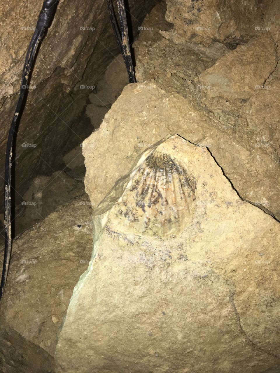 Cave, Rock, No Person, Stone, Prehistoric