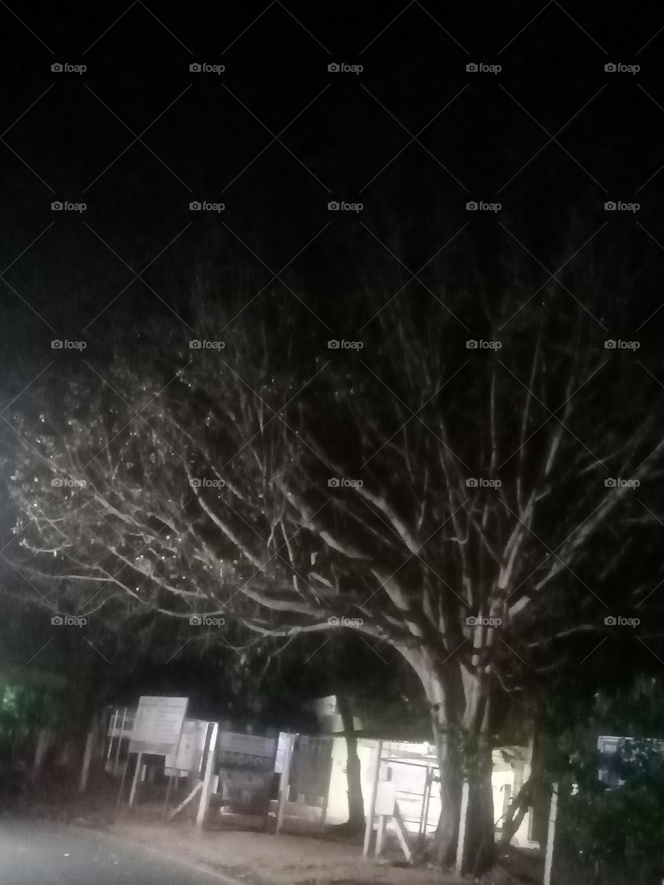 *ravarma vanguvo* Glow sticks, Shining tree, Lightning night