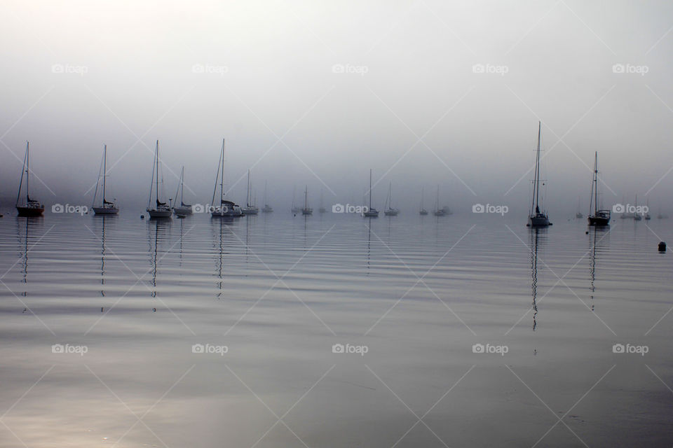 Foggy early morning in Maine 