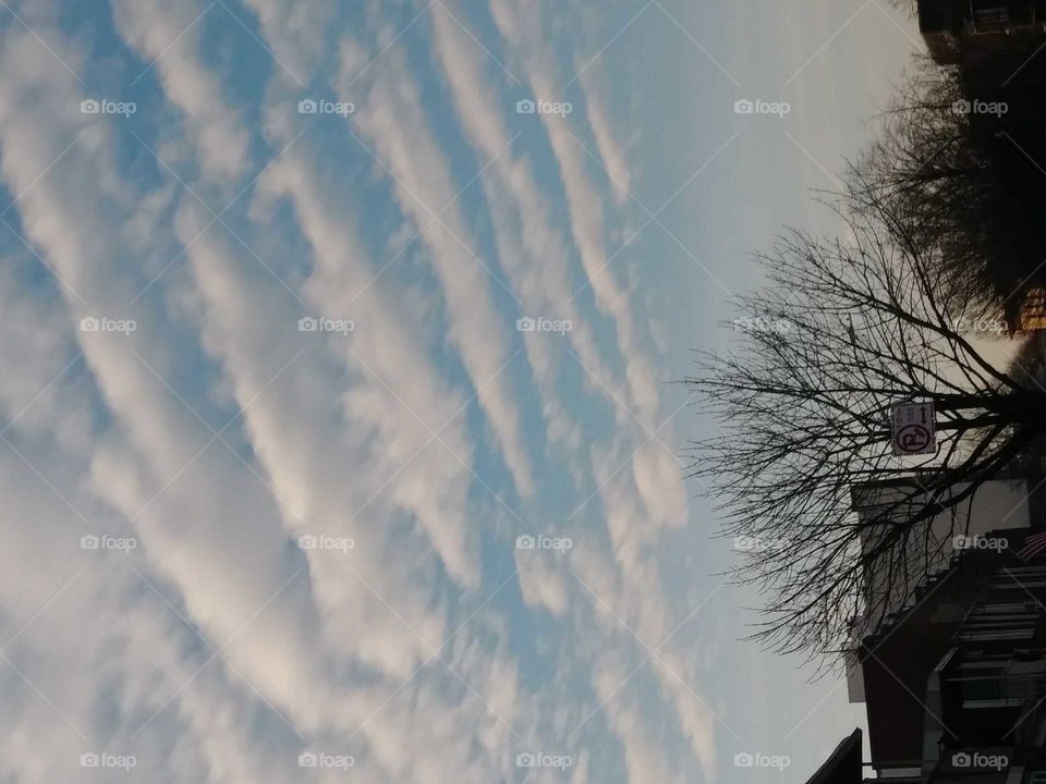 stripey clouded sky tree tops some tops of buildings