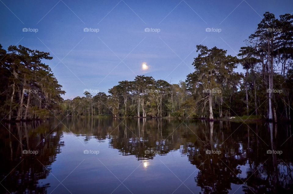 Bayou Moonrise