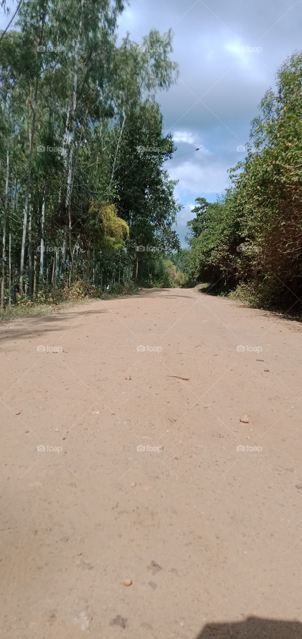 Summer Walks are the best