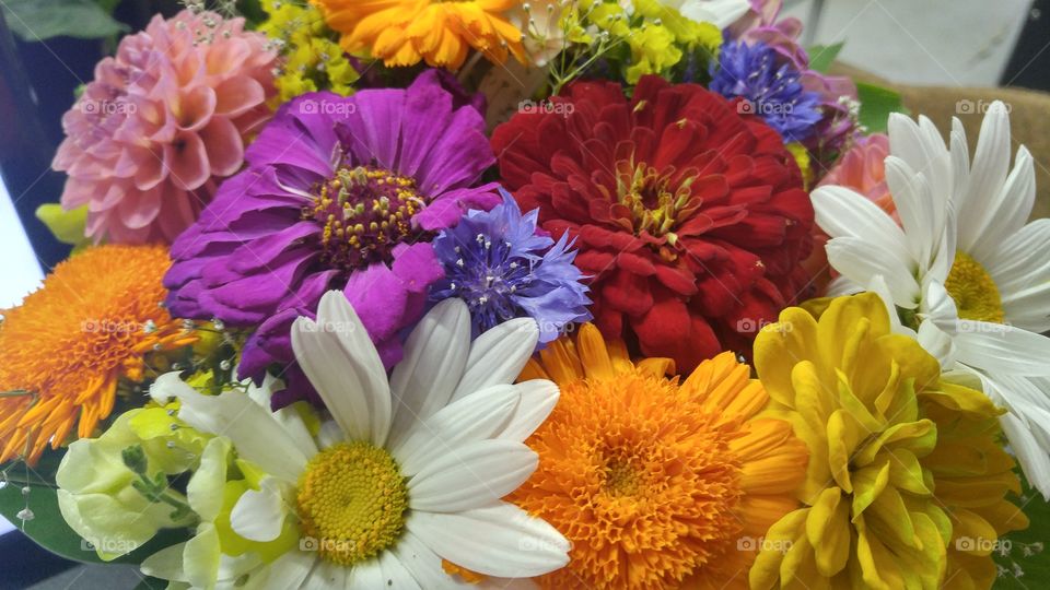 Beautiful flowers in a vase. Birthday present. Colorful flowers.