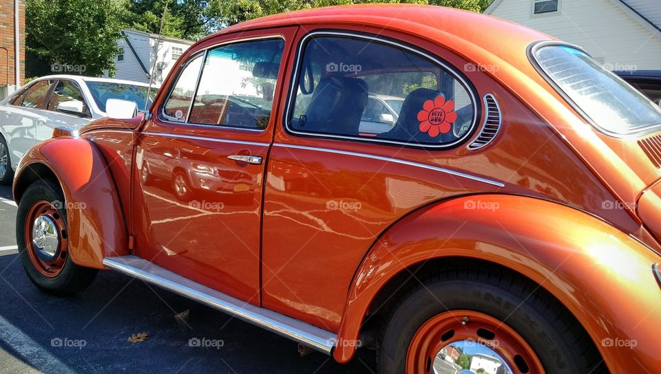 Original Volkswagen Beetle