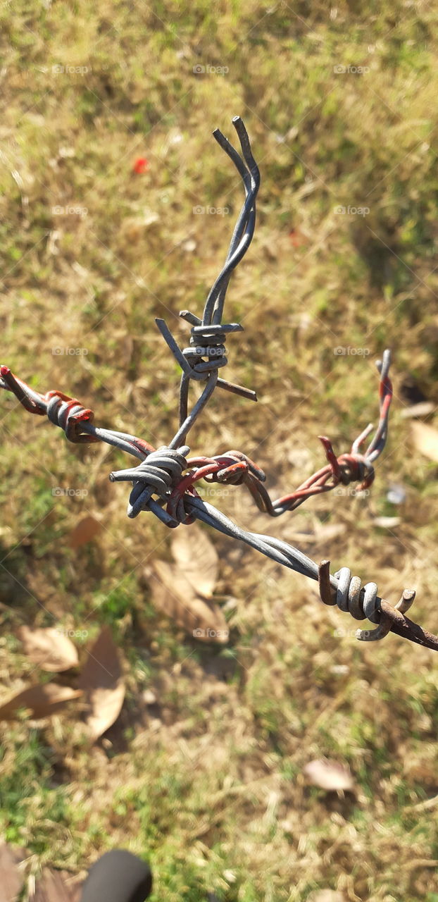 the effects of time!