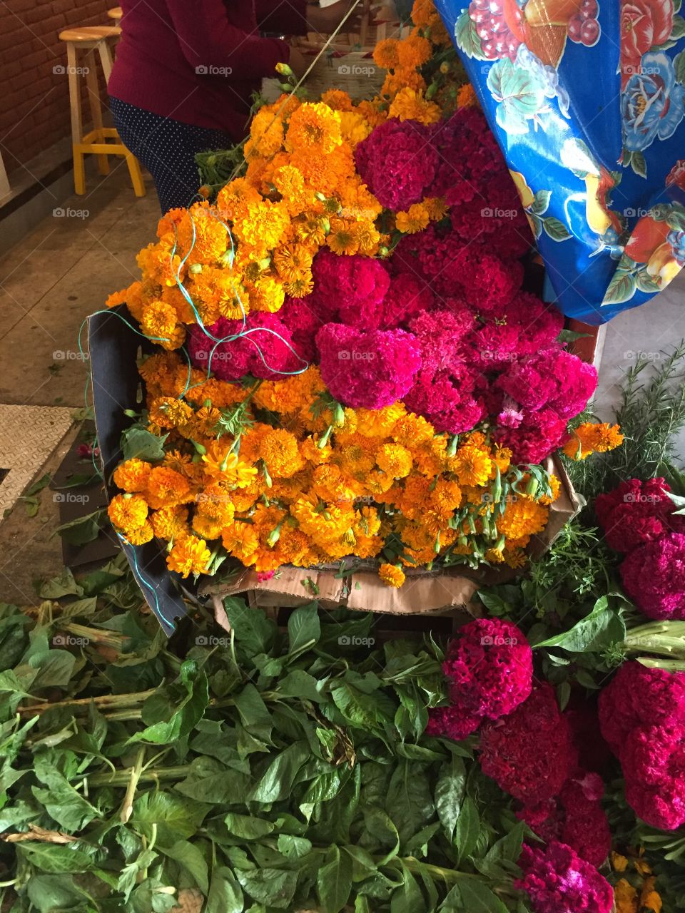 Carnations at the market for Dia de los Muertes, Oaxaca, Mexico