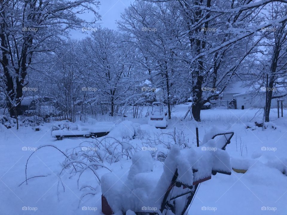Snowy backyard in Connecticut