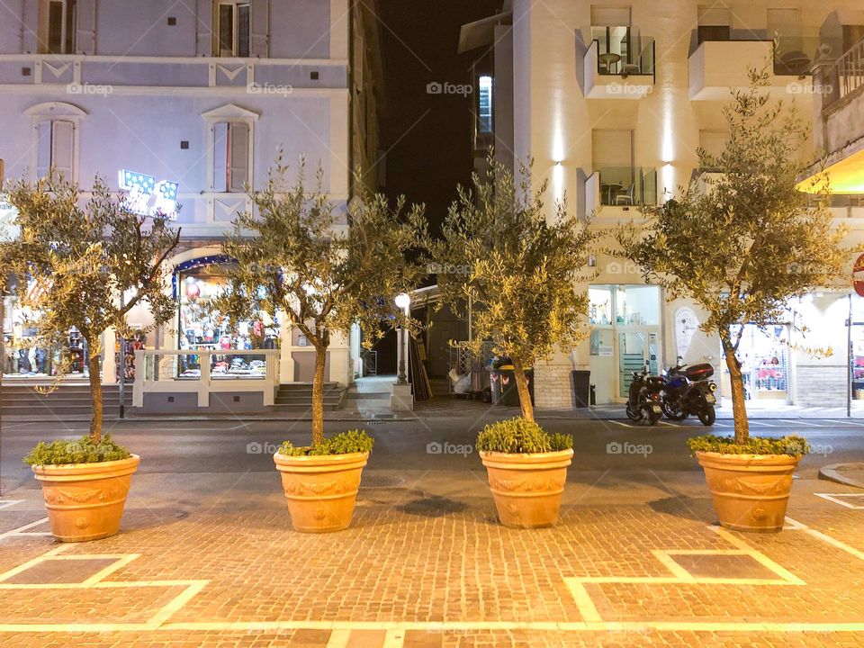 Flowers in a pots in the square of Rimini Italy