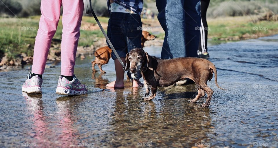 A hot day to have fun step on the streams