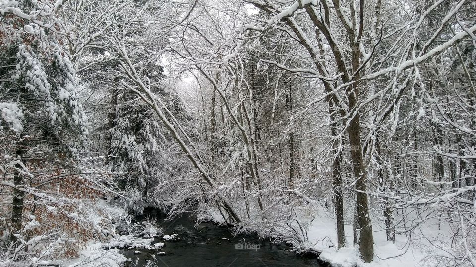 Mountain Creek in Winter