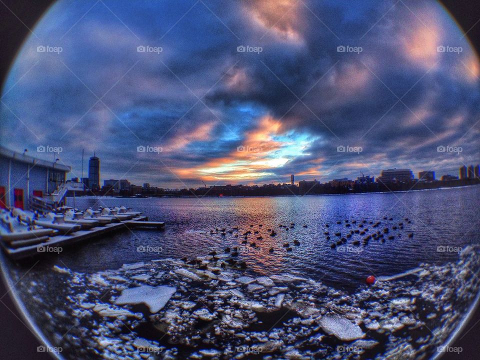 winter is for the birds