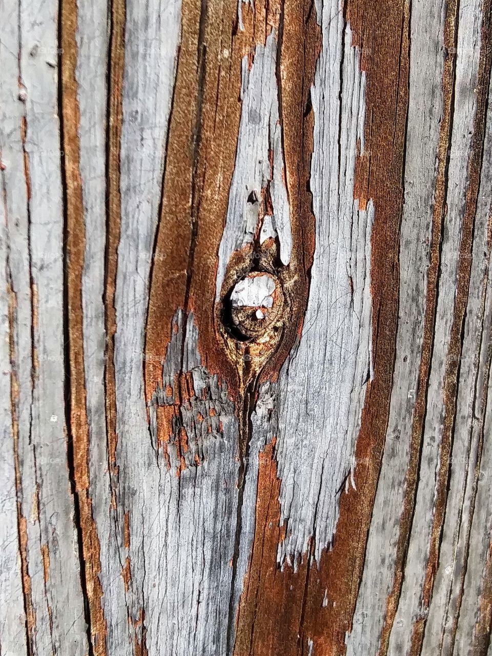 weathered wood