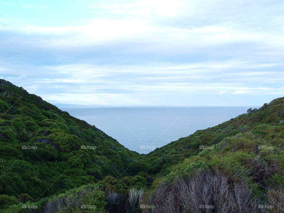 clouds over the forest and the ocean