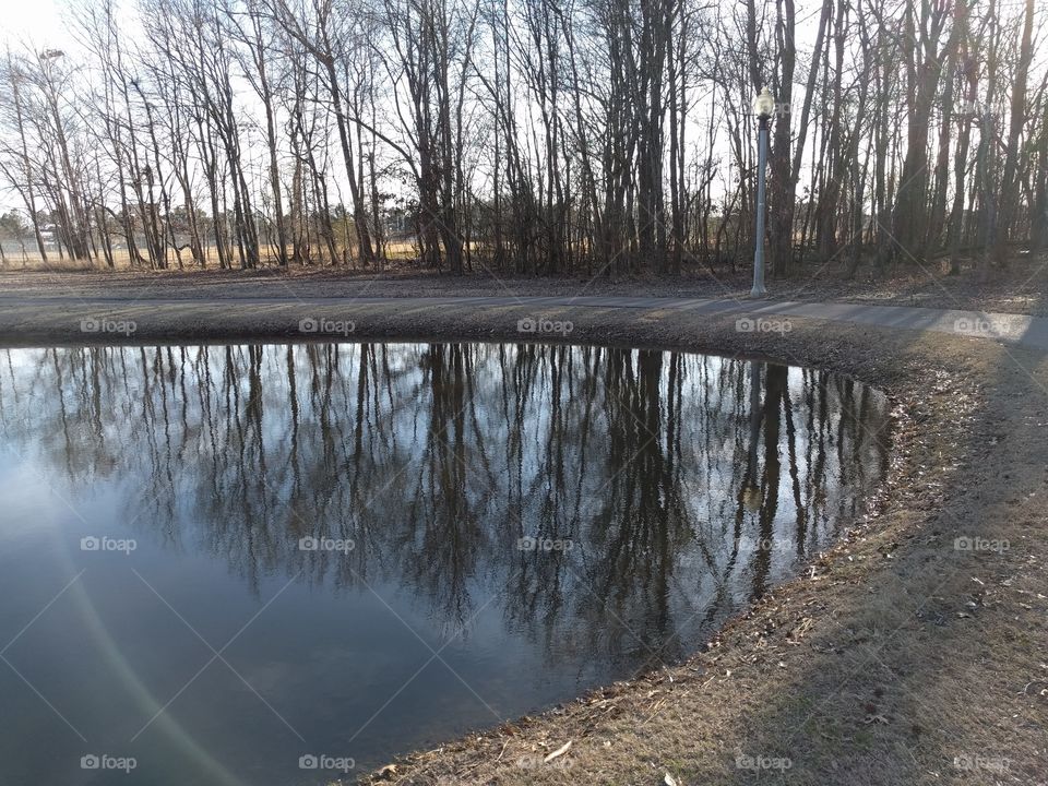 trees reflected in the lake by the path