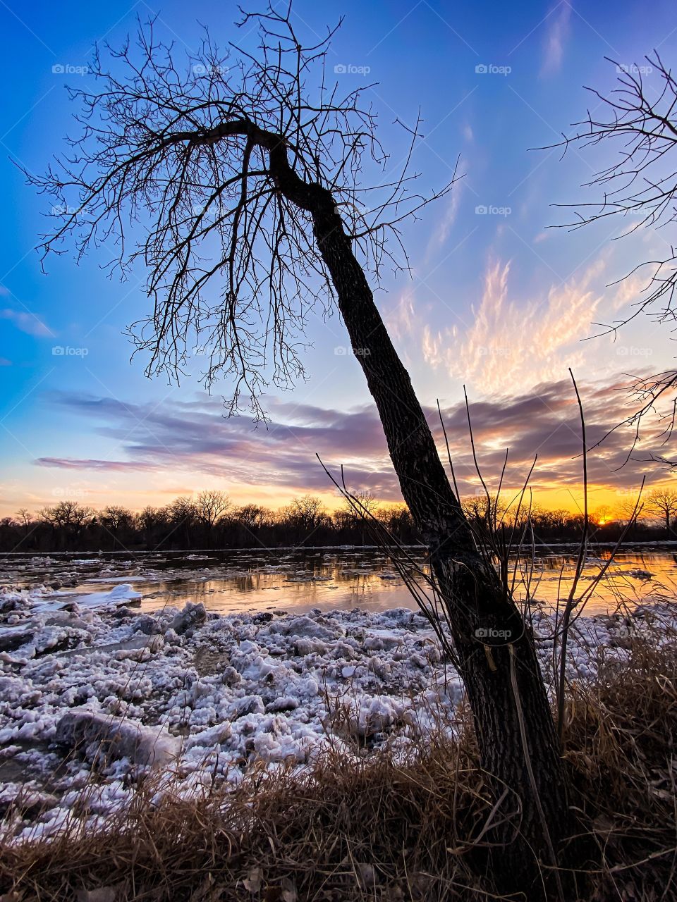 Sunset in springtime 