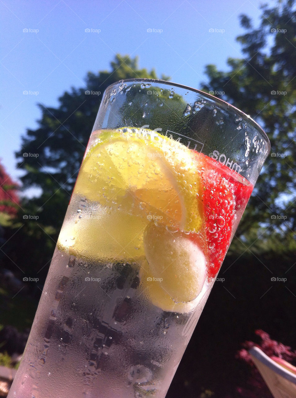 outdoors summer drink fruit by sarah_robbo
