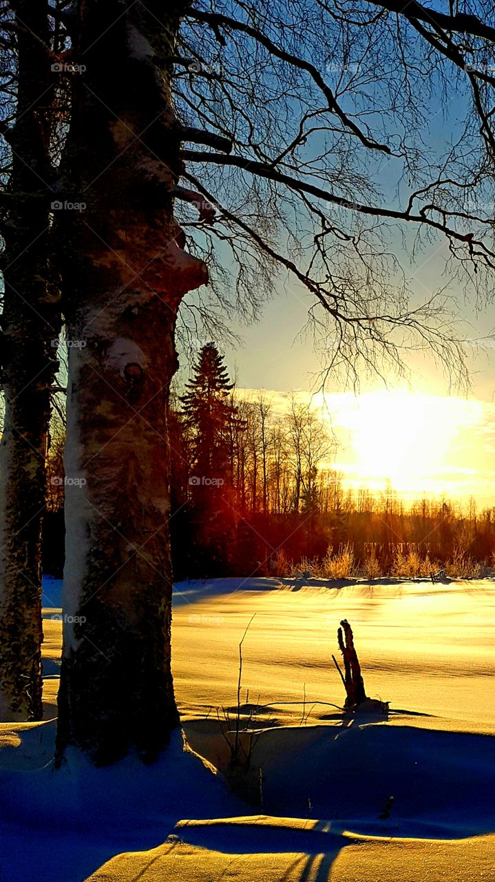 Beautiful day in winterland