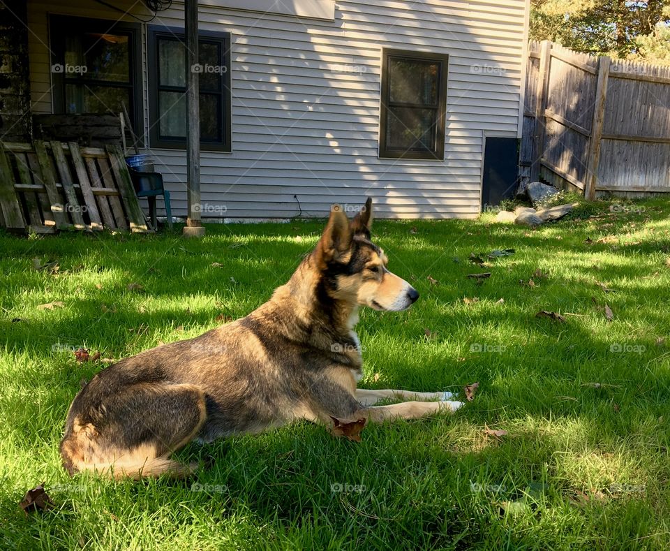 Sun bathing in the fall