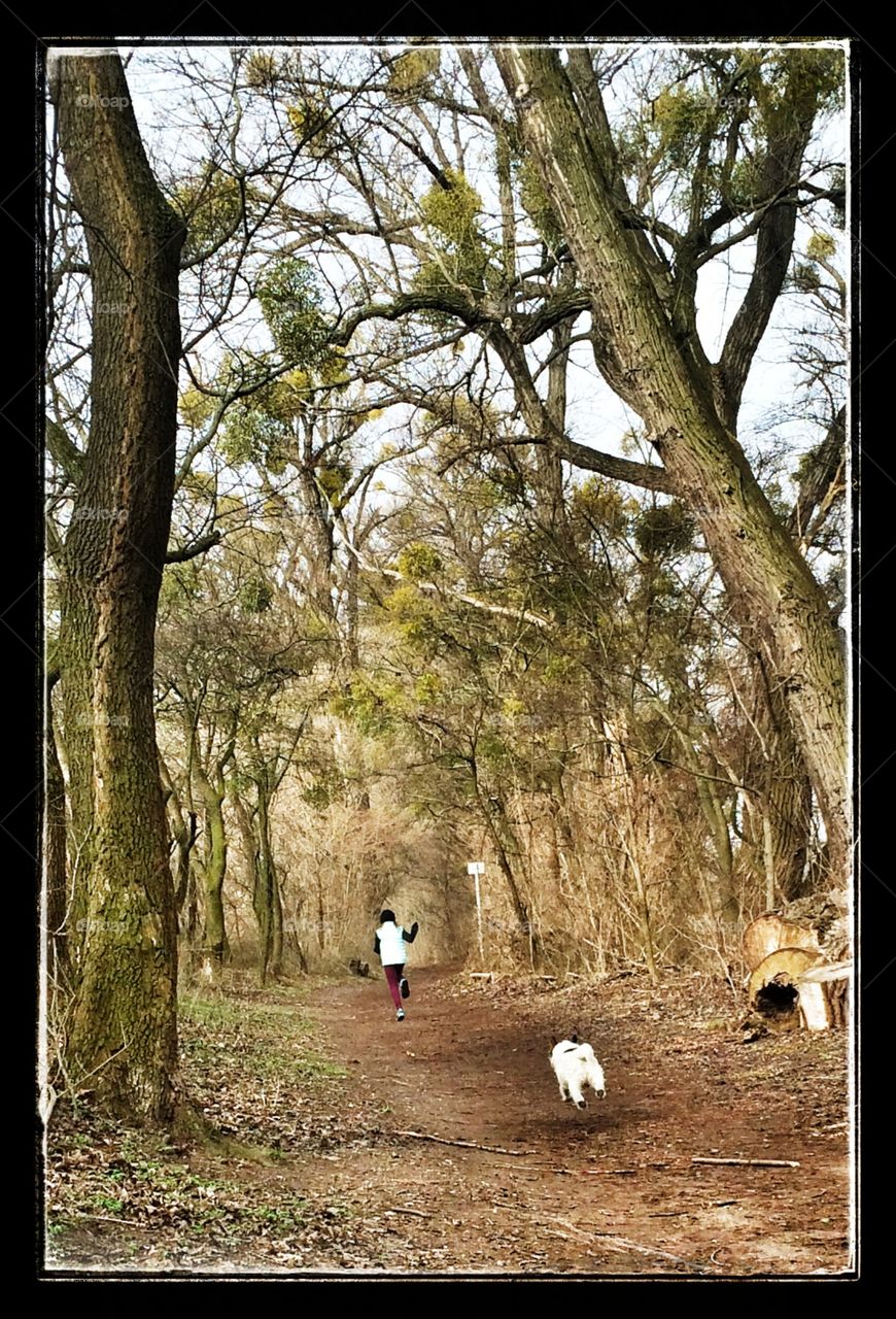 Woodland run. Running in the viennese woods
