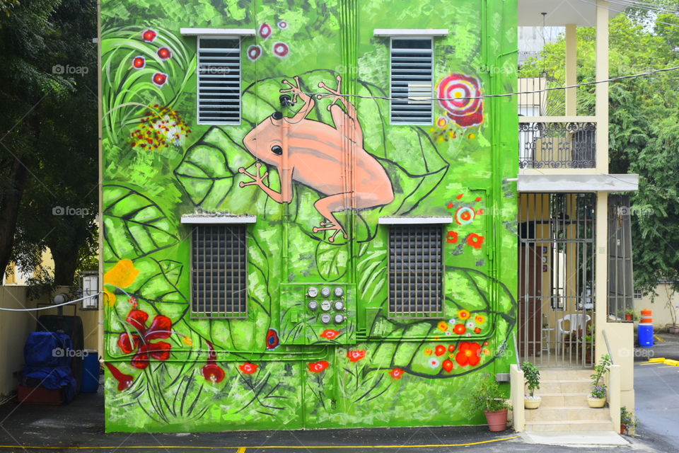 Wall Artwork in Puerto Rico