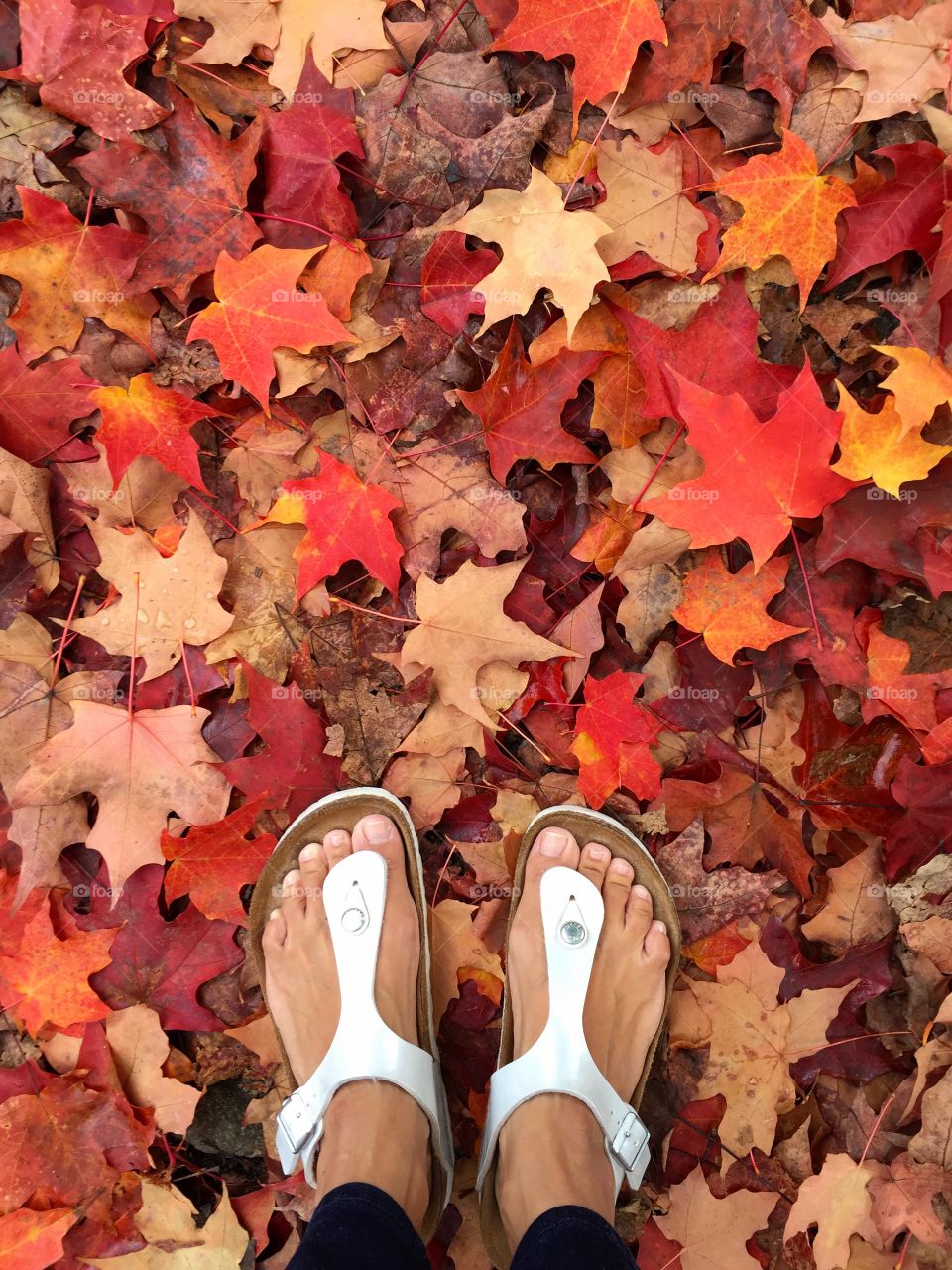 Elevated view of woman standing on autumn leaves