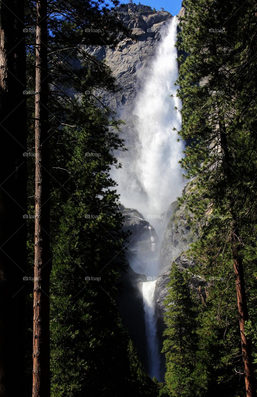 Beauty of Yosemite 