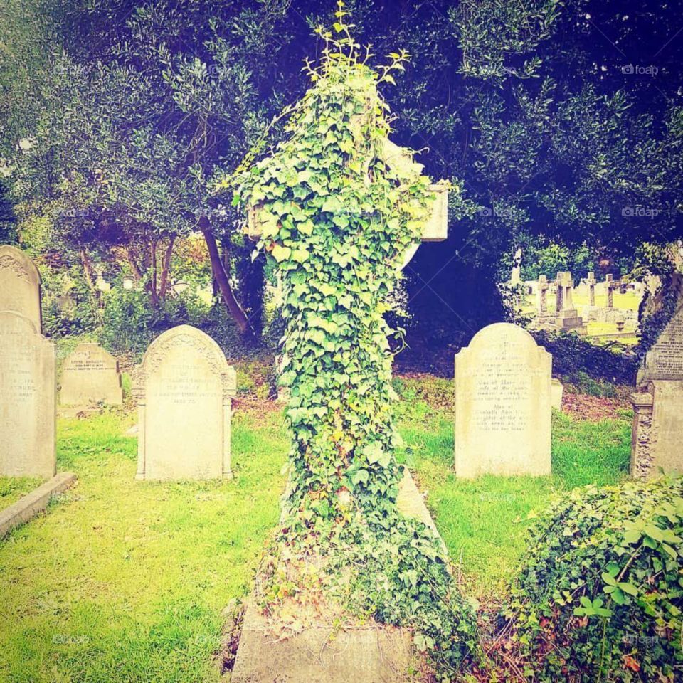 Croydon Cemetery. London, UK...