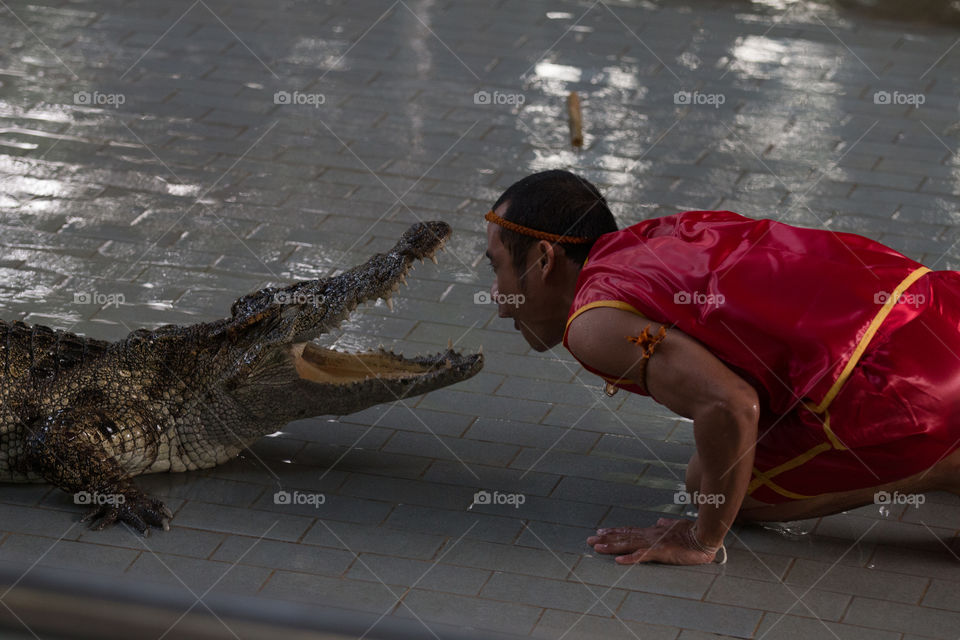 Reptile, People, Crocodile, One, Water