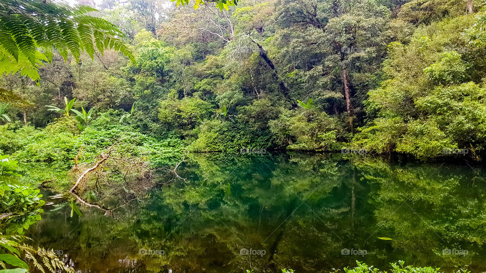 Small lake in the middle of forest like hidden paradise