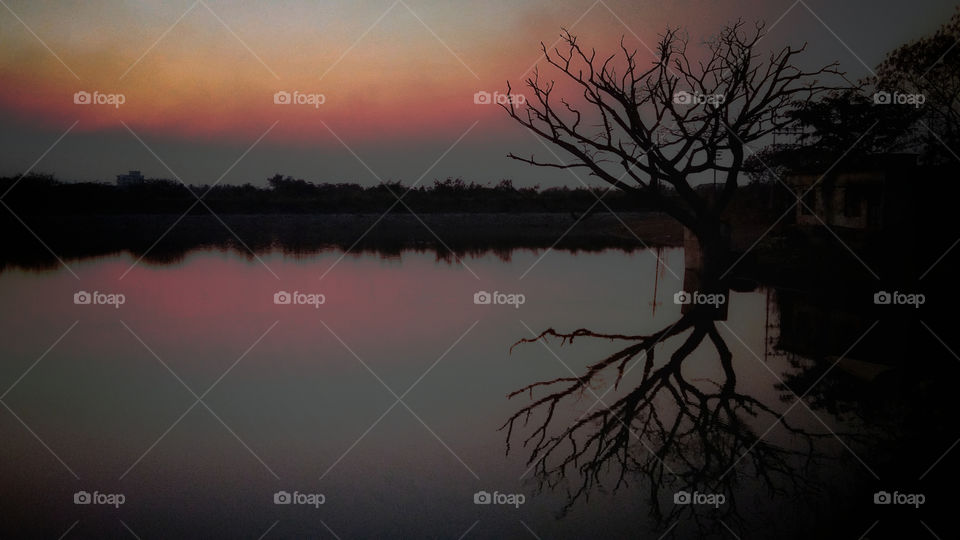 landscape and tree reflection in Lake water at the time of sunset or evening. It is silhouette image.