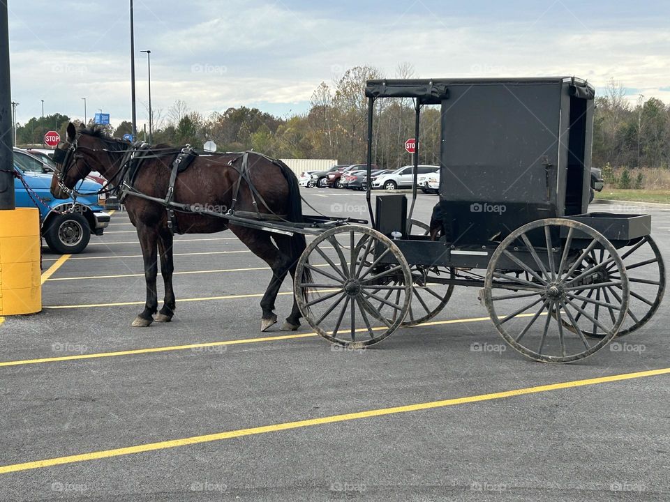 Amish horse and buggy at Walmart