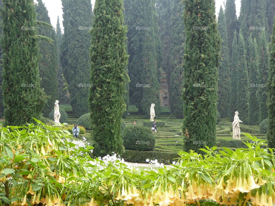 Italian garden