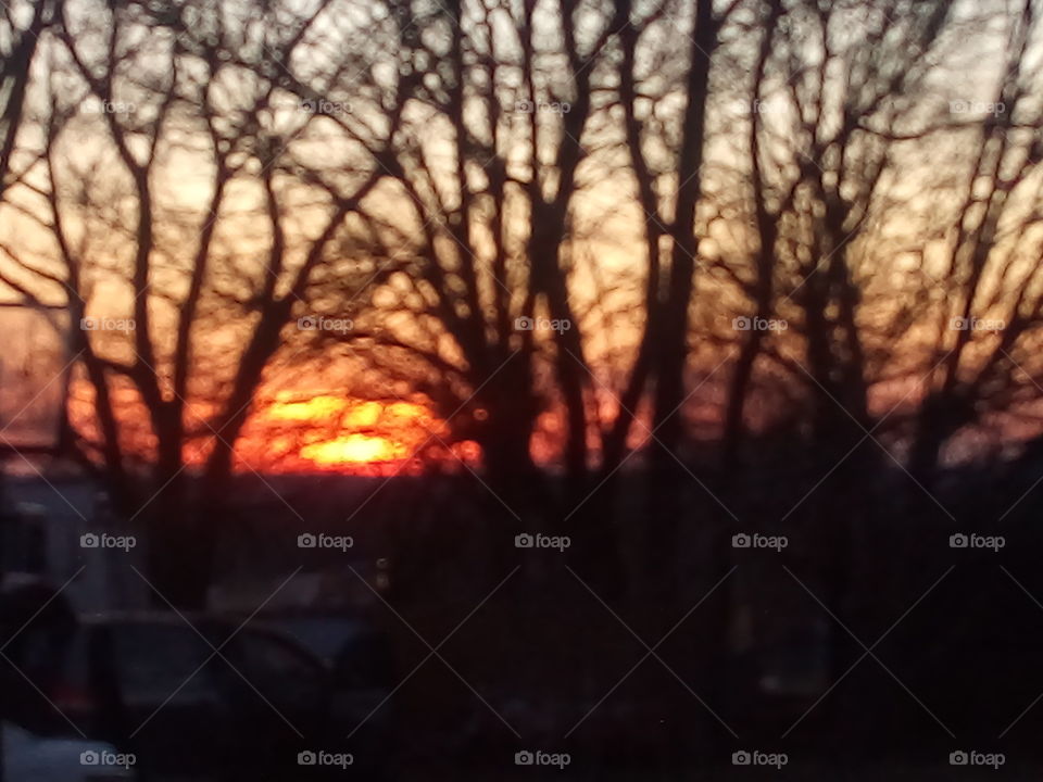 Good evening world this beautiful sunset is wishing you all a good night from Arkansas!