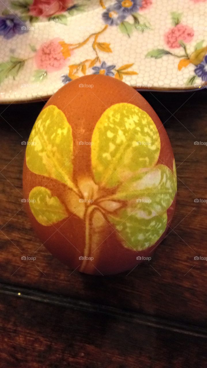 Easter egg naturaly painted with a leave and boiled in water with onion skins