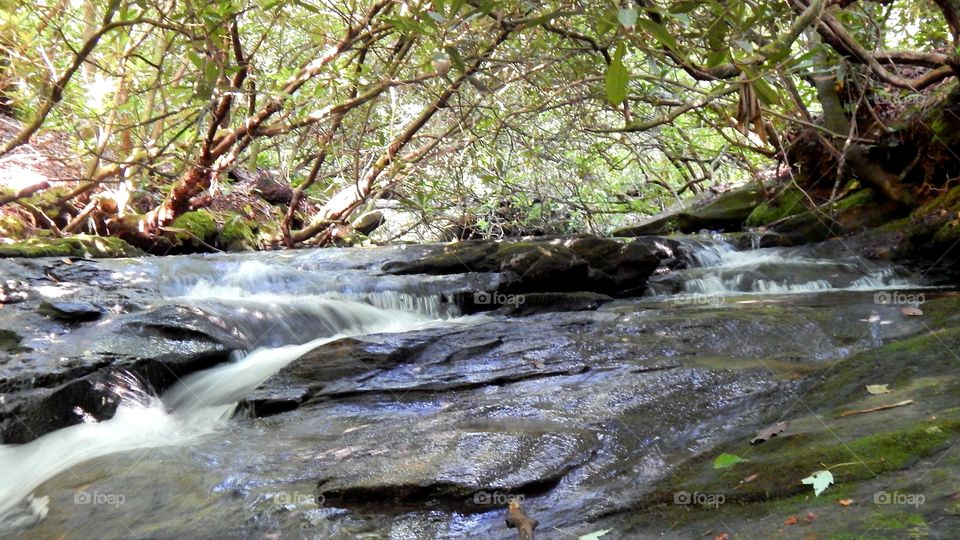 small shoals above Laurel Mountain falls, Georgia
