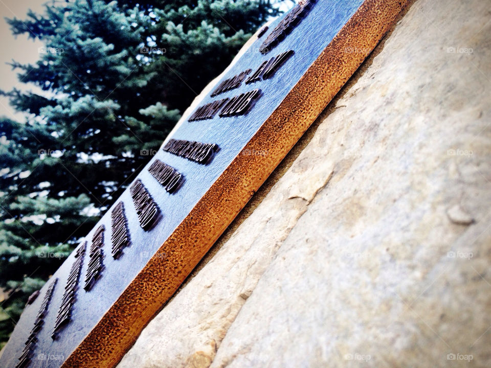 white sign tree cool by stykellee