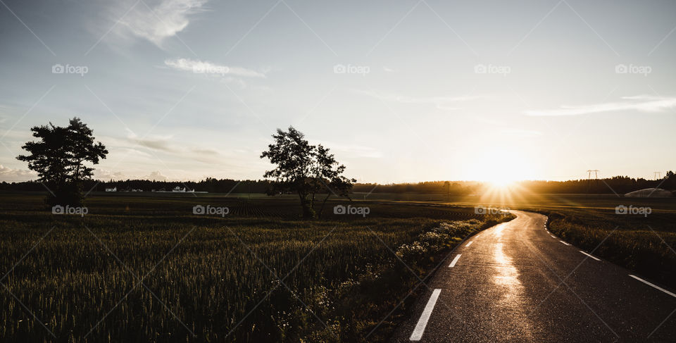 Sunny Road