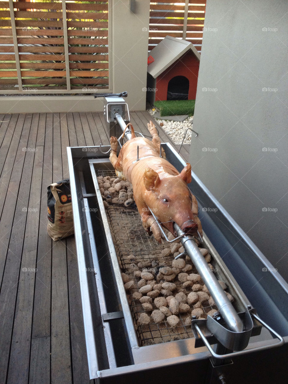 food pig backyard roast by splicanka