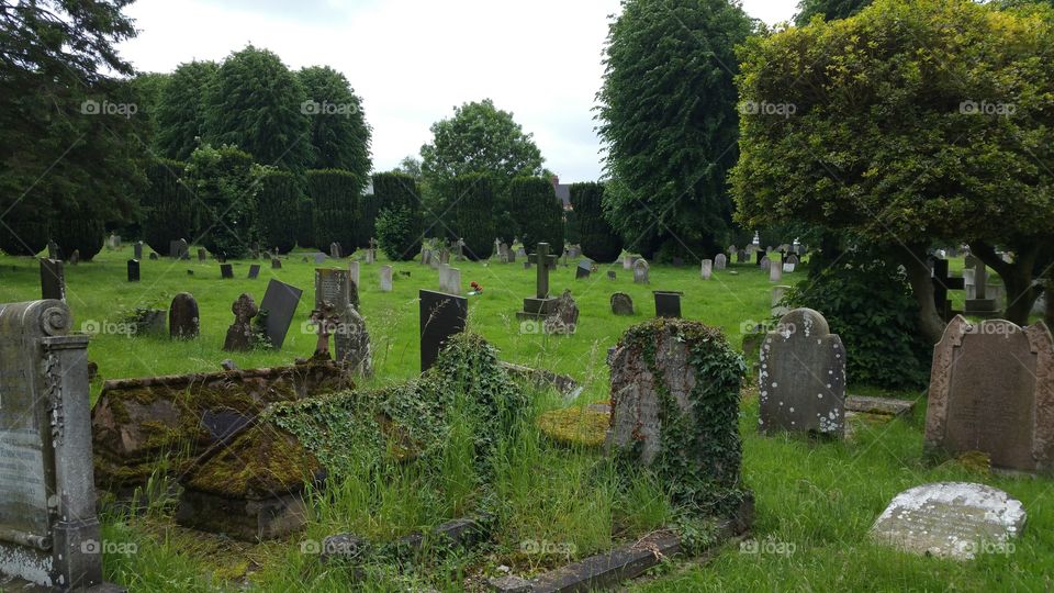 English cemetery
100 + years old graves
Some people think graveyard and cemetery mean the same, but, if we want to be a little nitpicky, we should say that graveyard is a type of cemetery, but a cemetery is usually not a graveyard. To understand the difference, we need a little bit of history.
From about the 7th century, the process of burial was firmly in the hands of the Church (meaning the organization), and burying the dead was only allowed on the lands near a church (now referring to the building), the so-called churchyard. The part of the churchyard used for burial is called graveyard, an example of which you can see in the picture.
As the population of Europe started to grow, the capacity of graveyards was no longer sufficient (the population of modern Europe is almost 40 times higher than it was in the 7th century). By the end of the 18th century, the unsustainability of church burials became apparent, and completely new places, independent of graveyards, were devised—and these were called cemeteries.
The etymology of the two words is also quite intriguing. The origin of "graveyard" is rather obvious; it is a yard filled with graves. However, you might be surprised to hear that "grave" comes from Proto-Germanic *graban, meaning "to dig", and is unrelated to "gravel".
Of course, the word "cemetery" did not appear out of the blue when graveyards started to burst at the seams. It comes from Old French cimetiere, which meant, well, graveyard. Nevertheless, the French word originally comes from Greek koimeterion, meaning "a sleeping place". Isn't that poetic?
