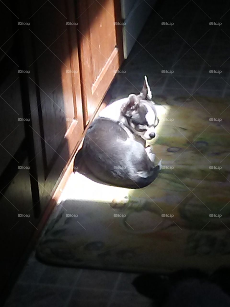 Sunshine on my shoulders makes me sleepy