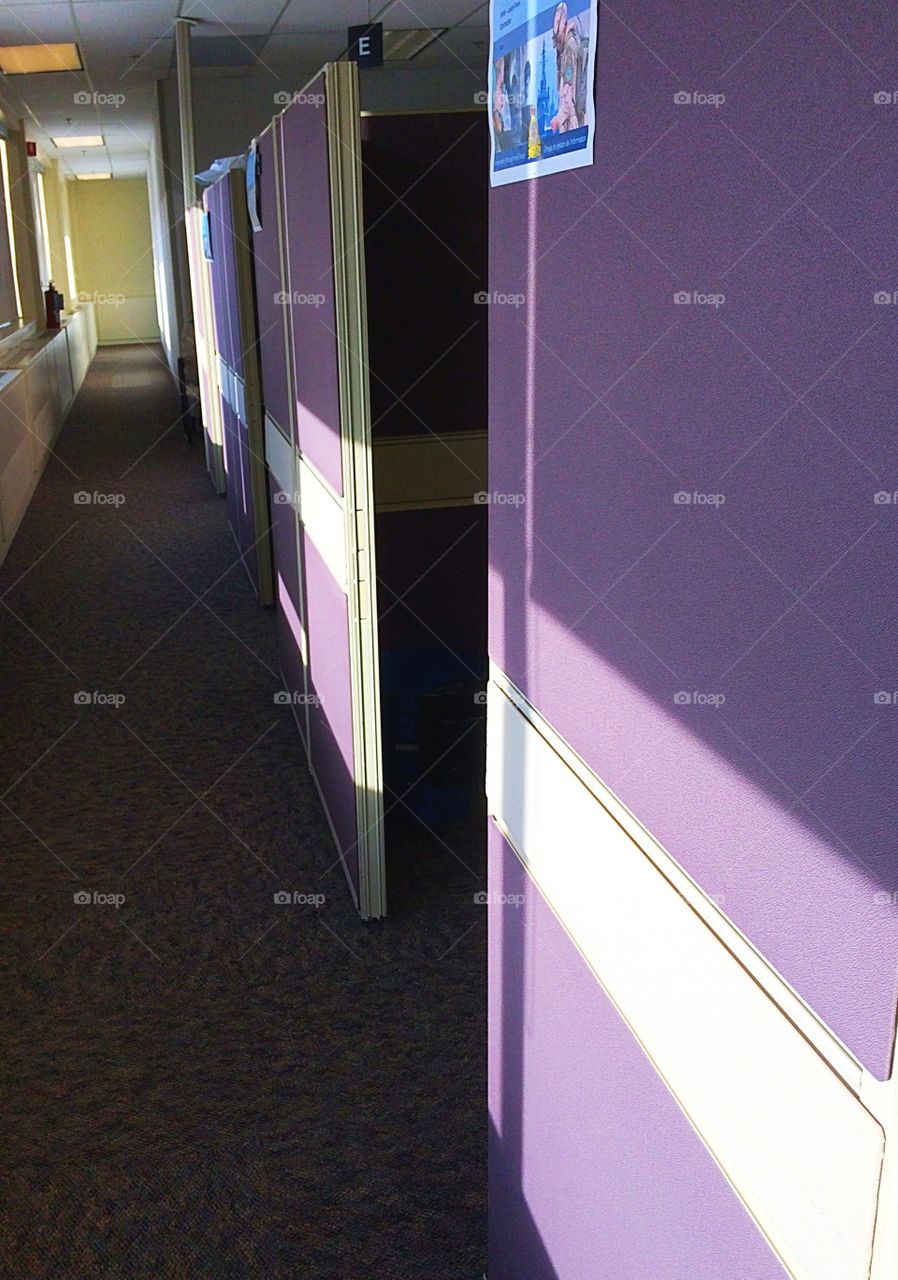 Purple cubicle walls