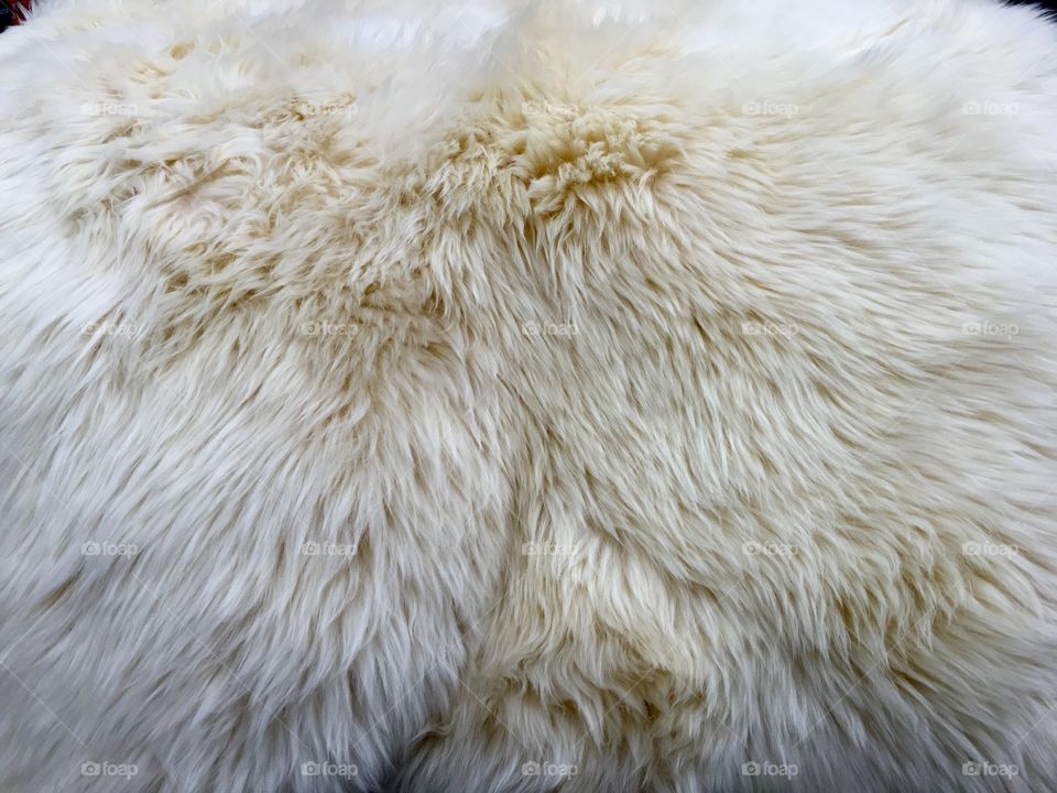 Fur